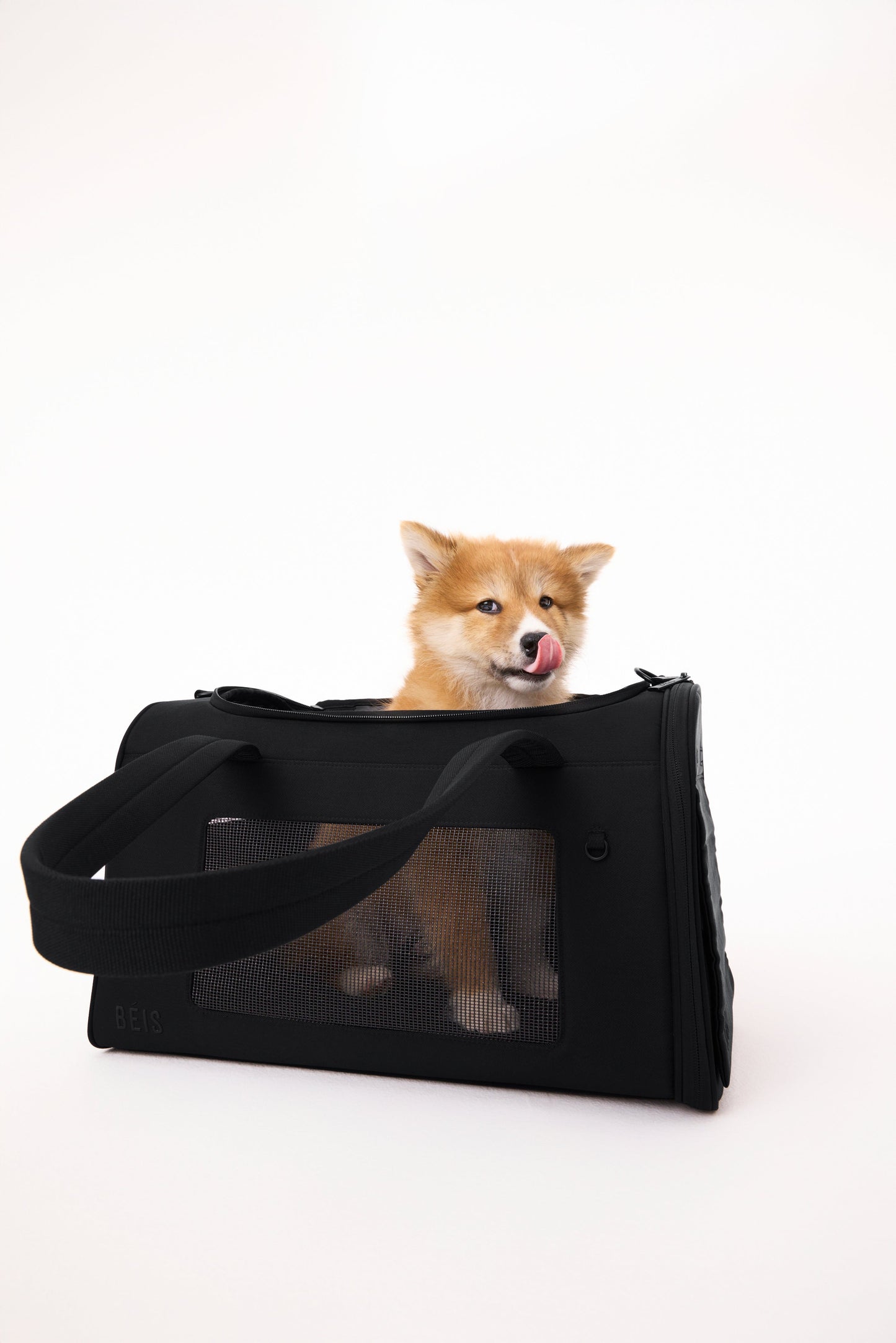 The Pet Carrier in Black