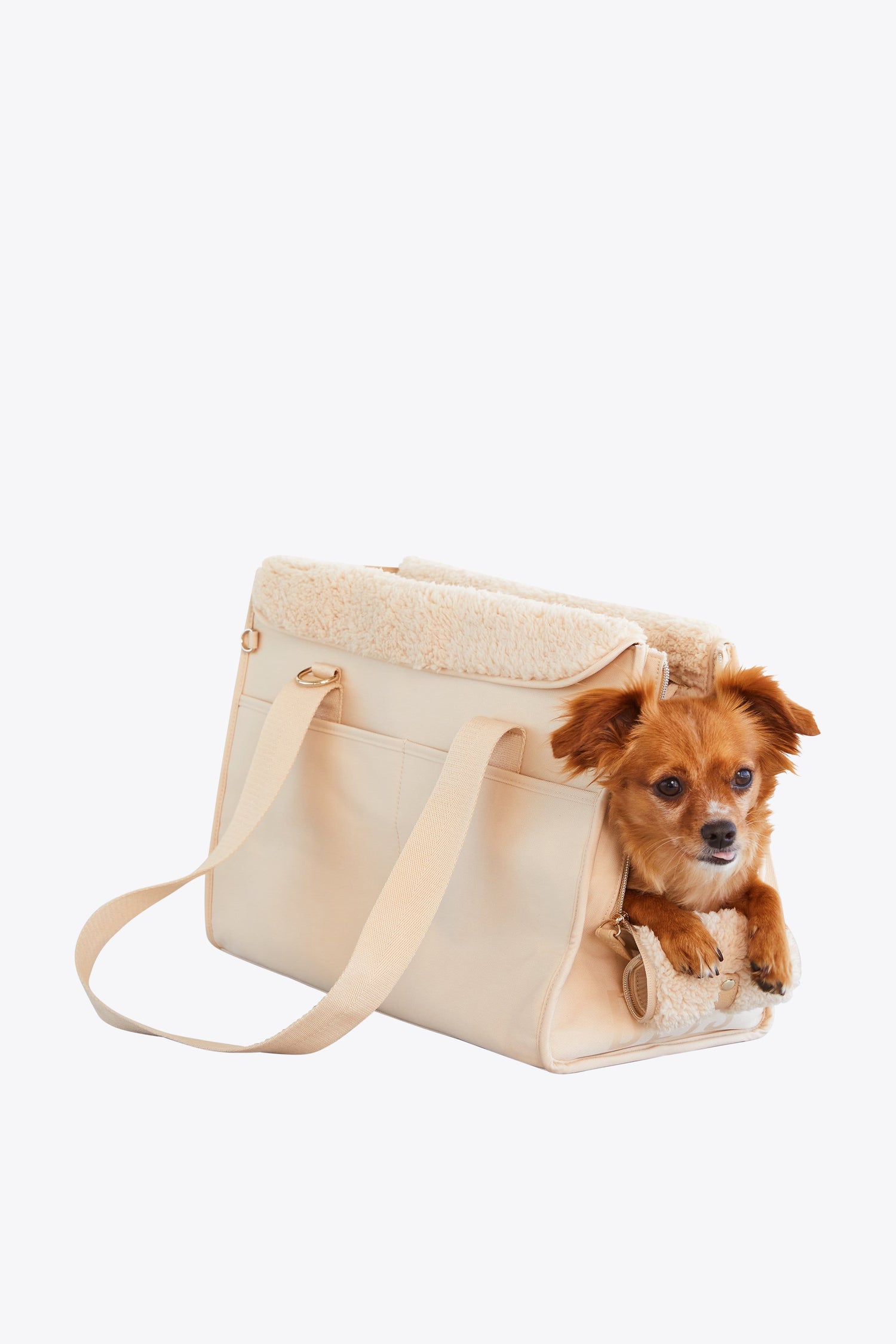 Pet Travel Carriers & Accessories