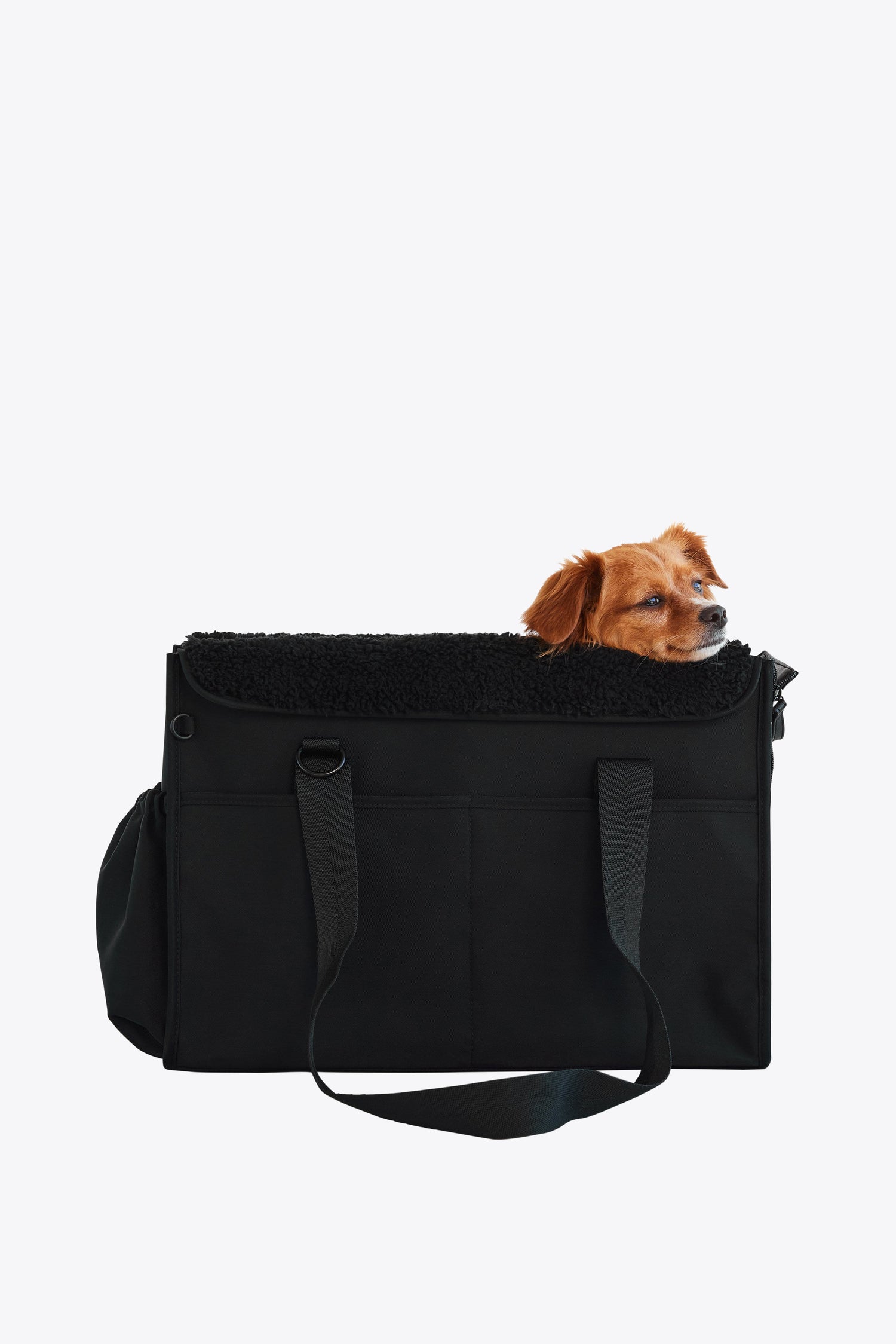 Pet Travel Carriers & Accessories
