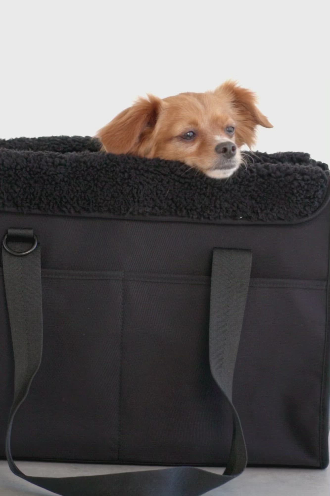 BEIS The Everyday Pet Tote in Black BEIS Travel CA