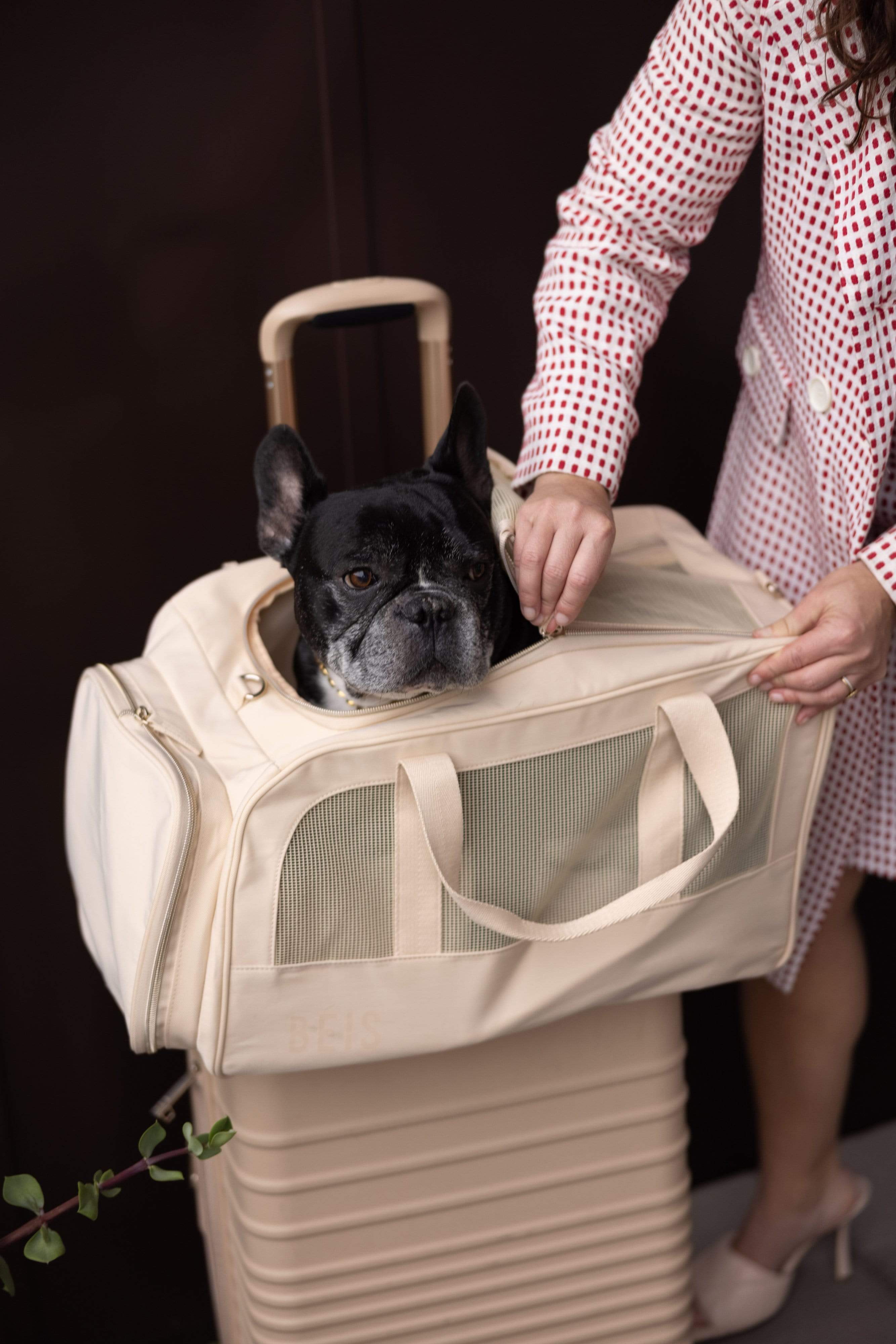 BEIS The Regulation Pet Carry on in Beige BEIS Travel CA