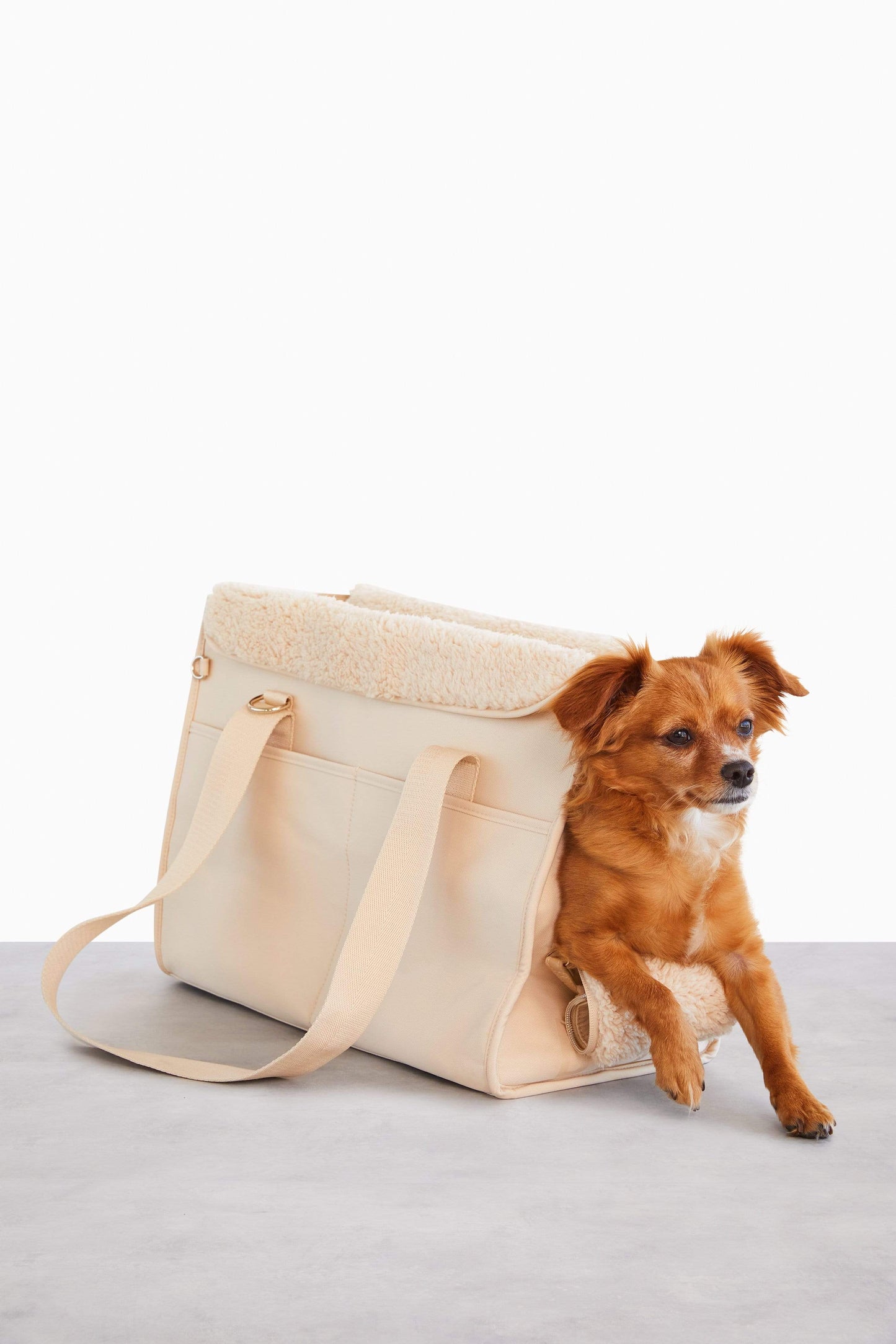The Everyday Pet Tote in Beige