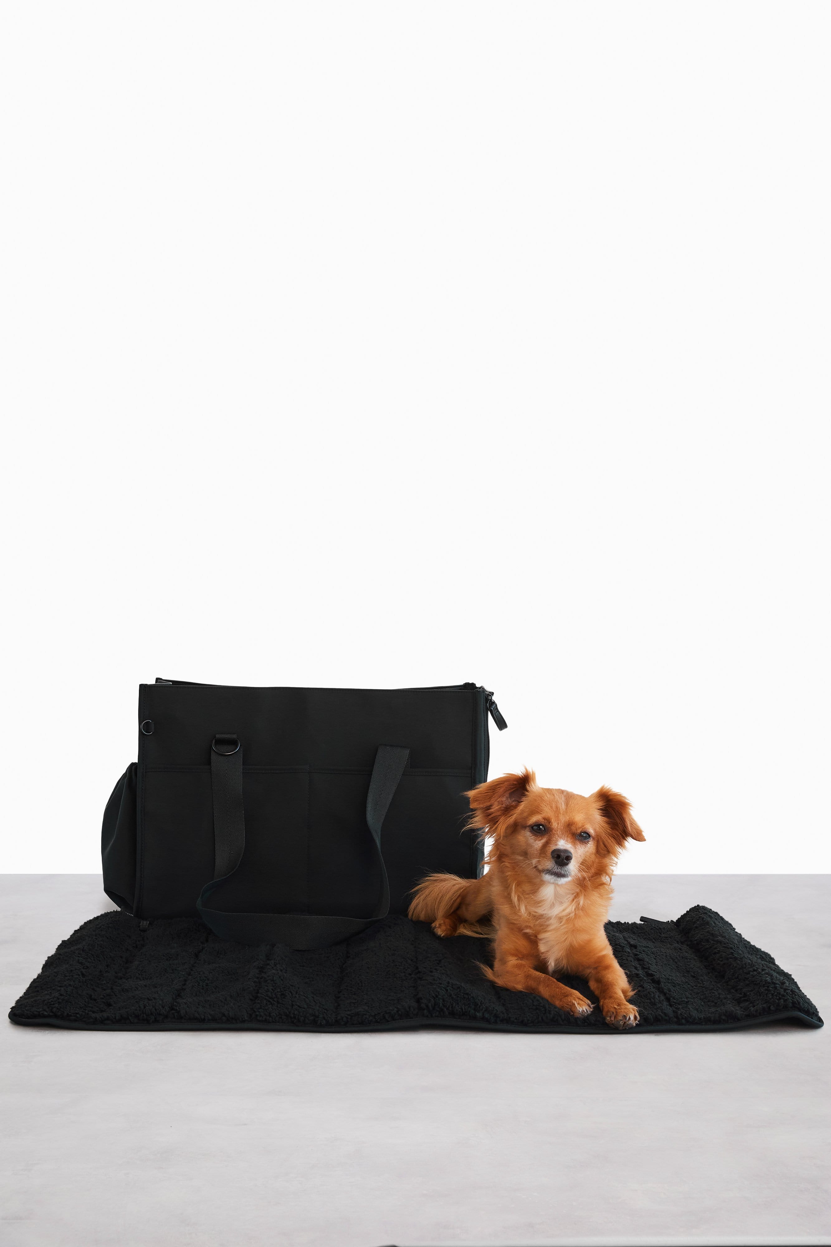 The Everyday Pet Tote in Black