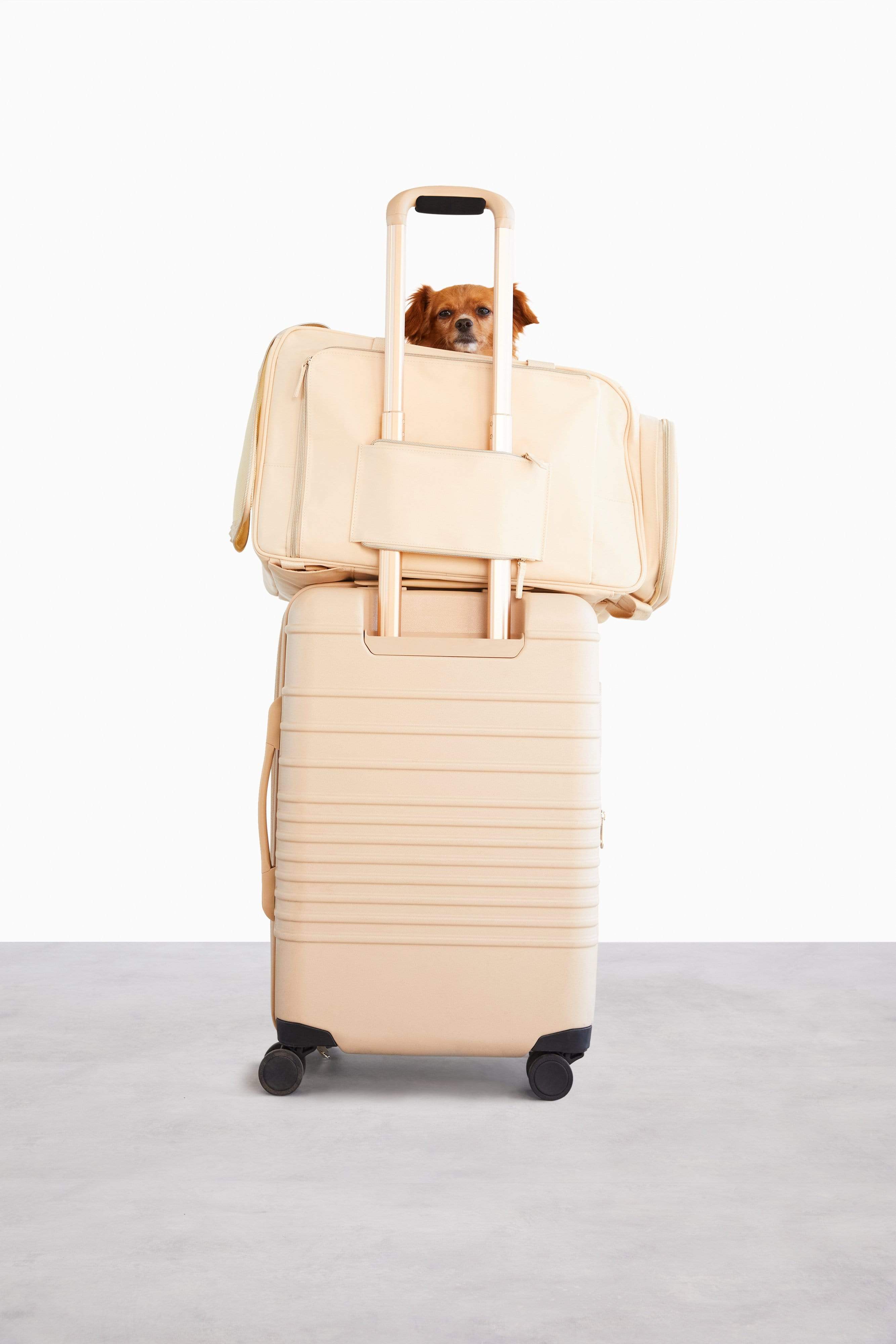 Pet suitcase hot sale