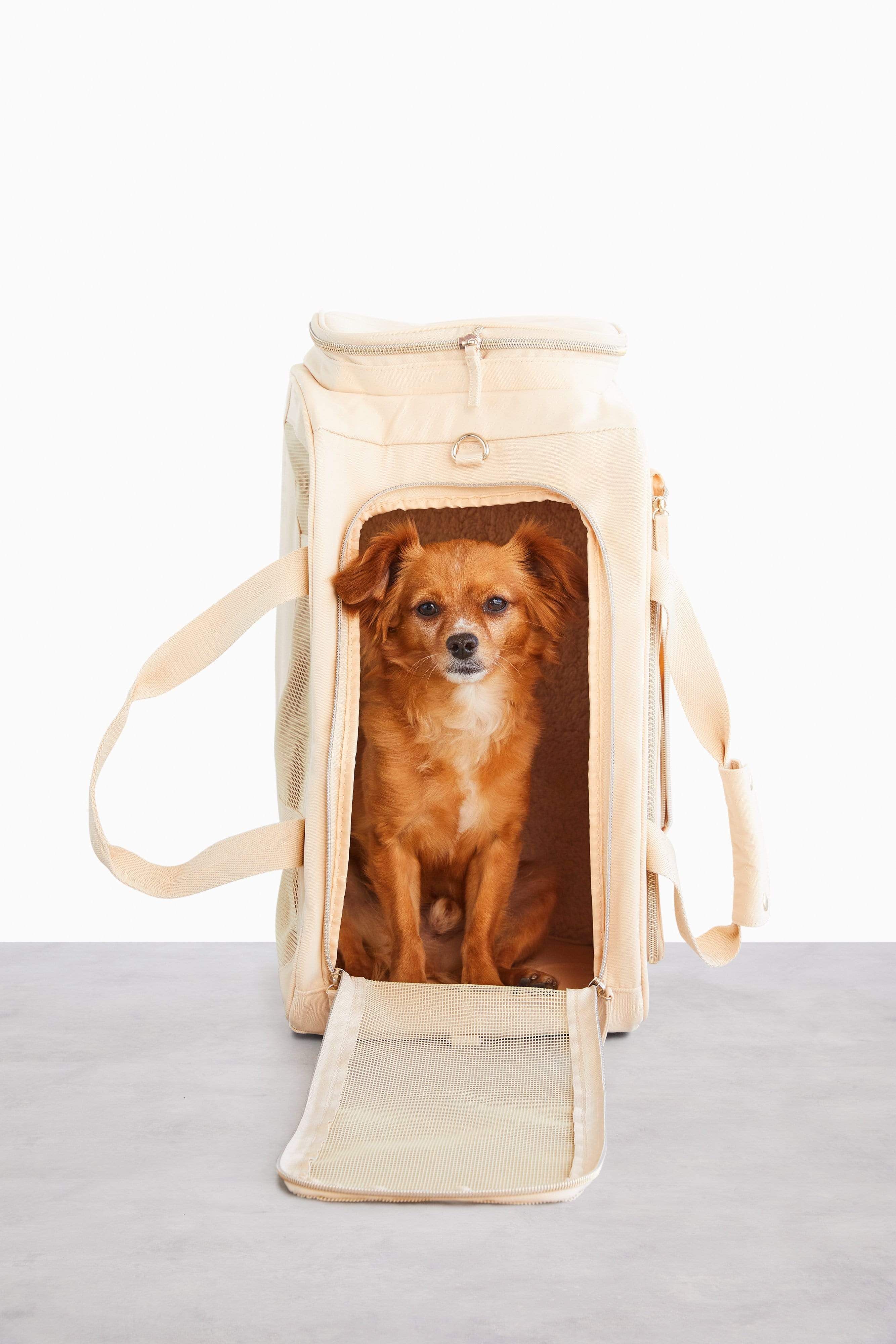 Dog carry handbag best sale