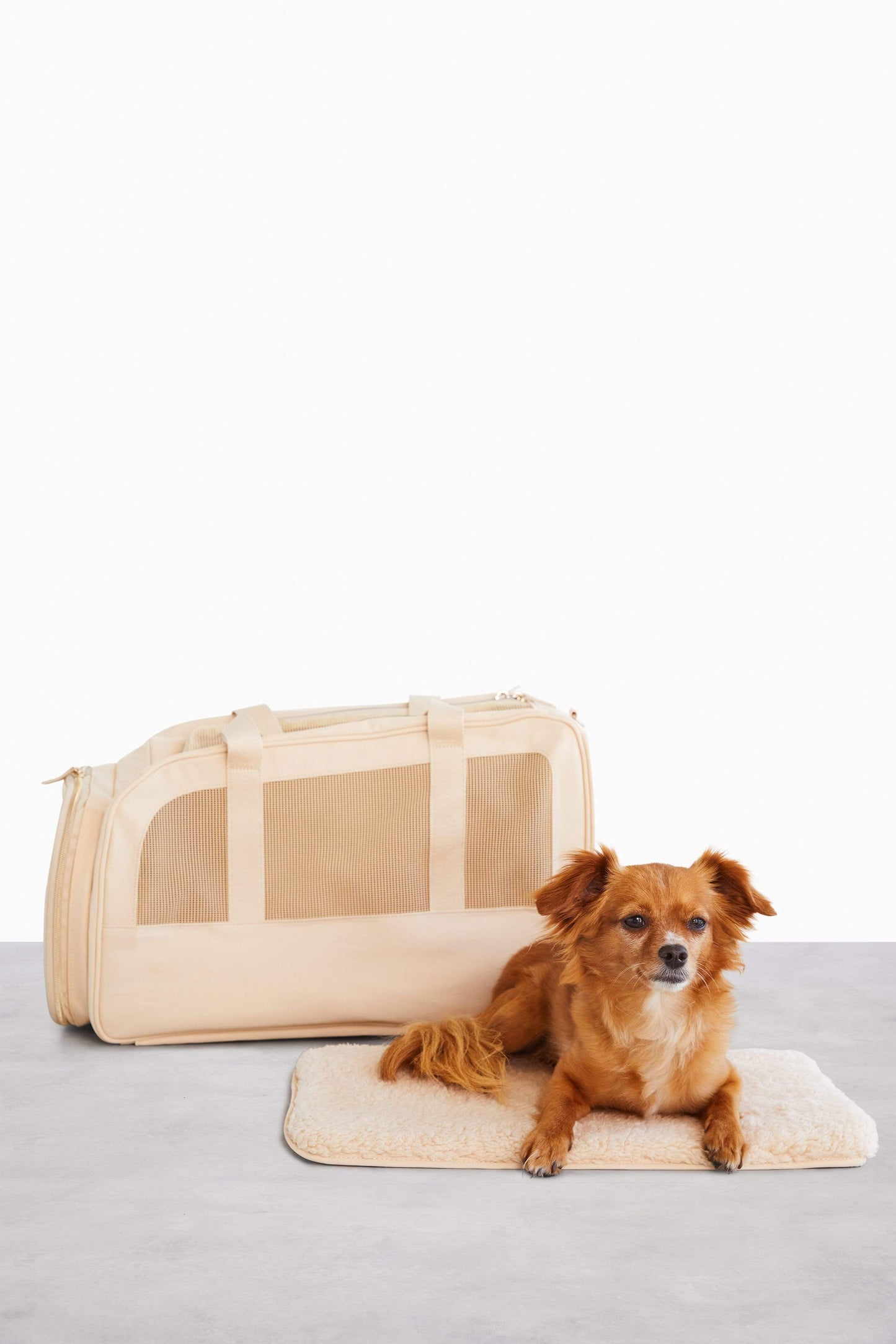 Le sac de voyage Regulation Pet en beige
