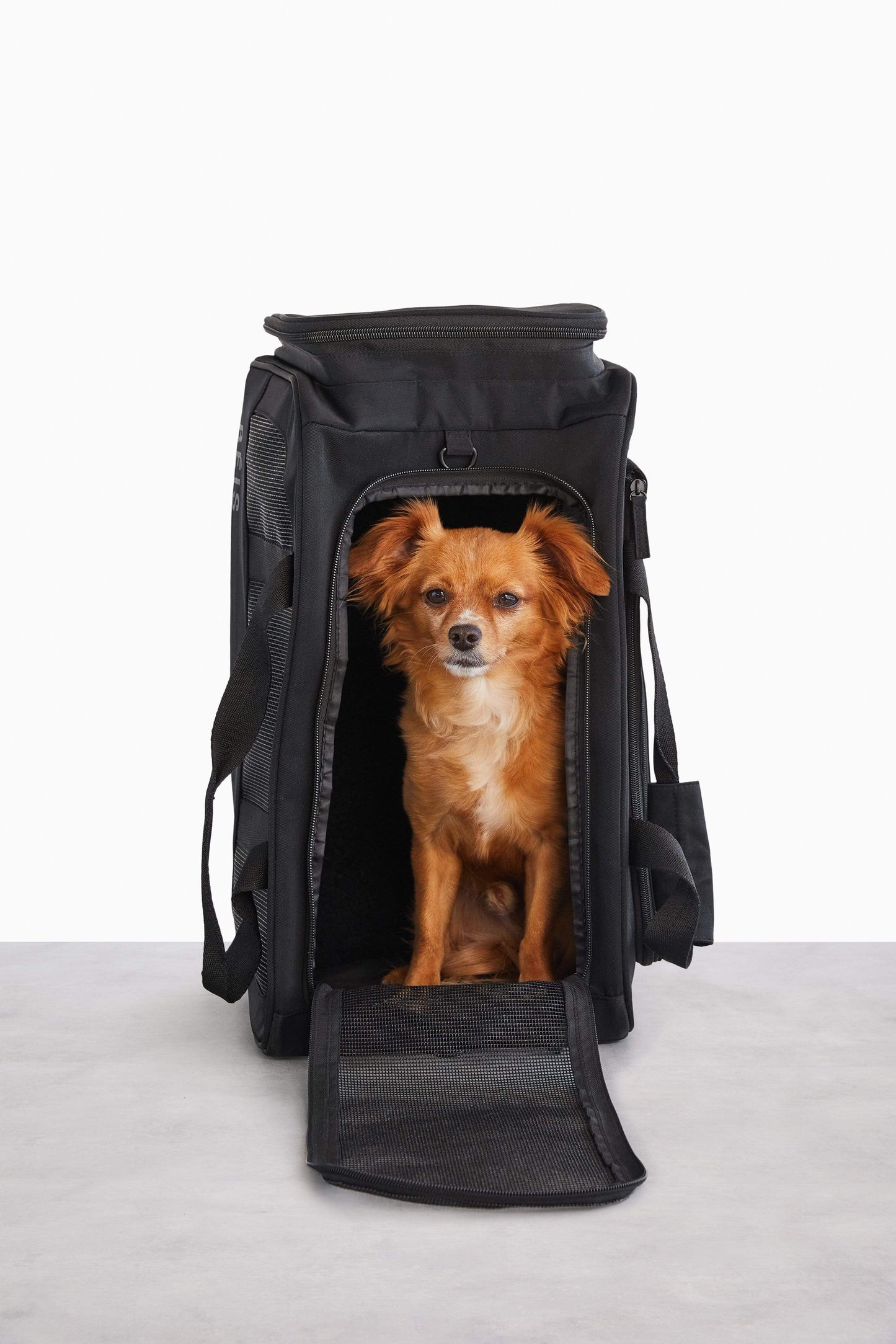 Le sac de voyage Regulation Pet en noir